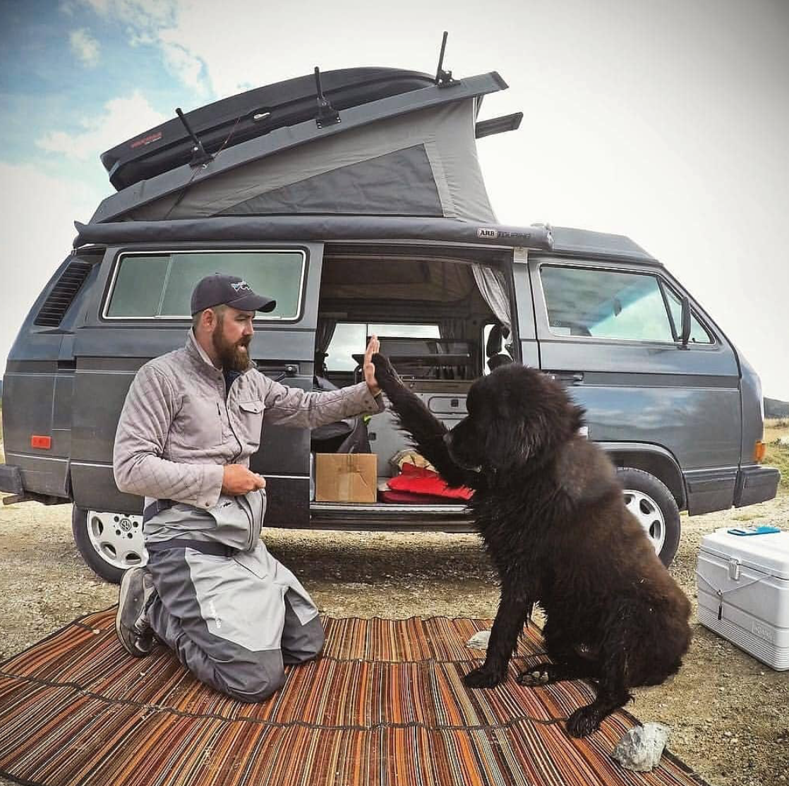 Vandwelling - Dog