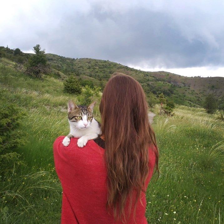 Van Life Greece - Cat