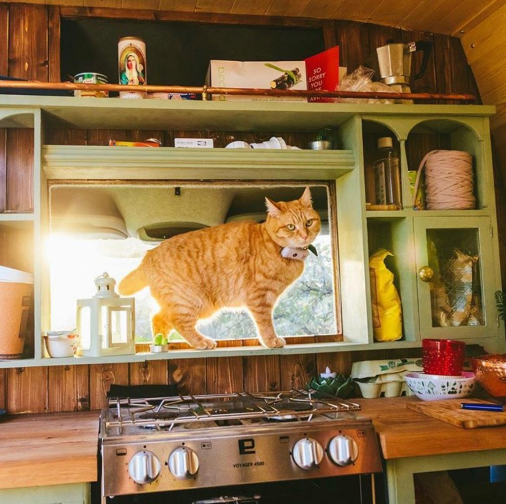 vanlife ideas - oven