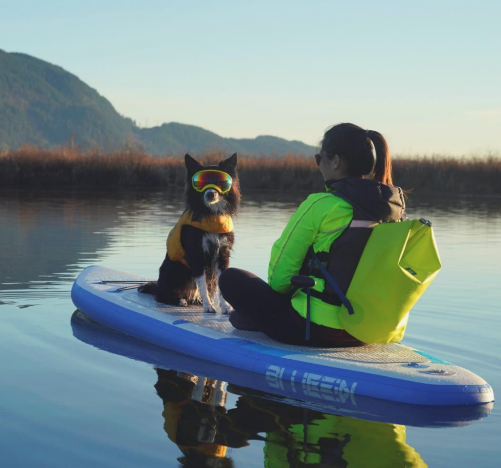 bluefin paddleboards - walkwithmax