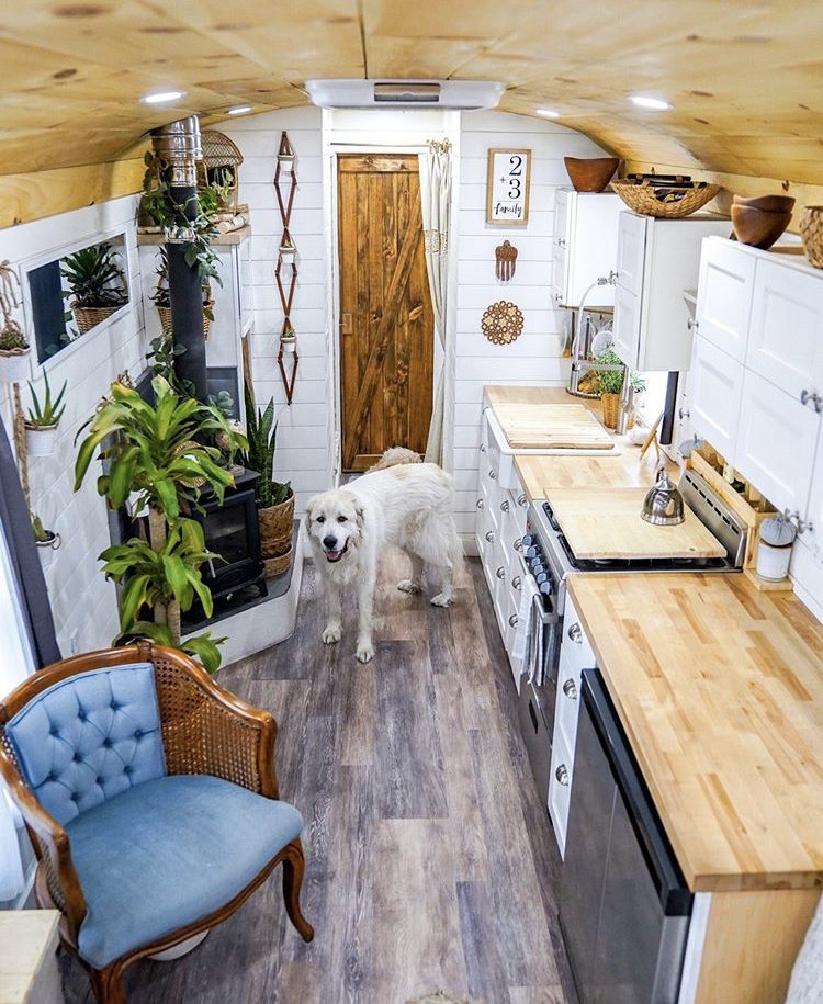 Bus kitchen with dog.