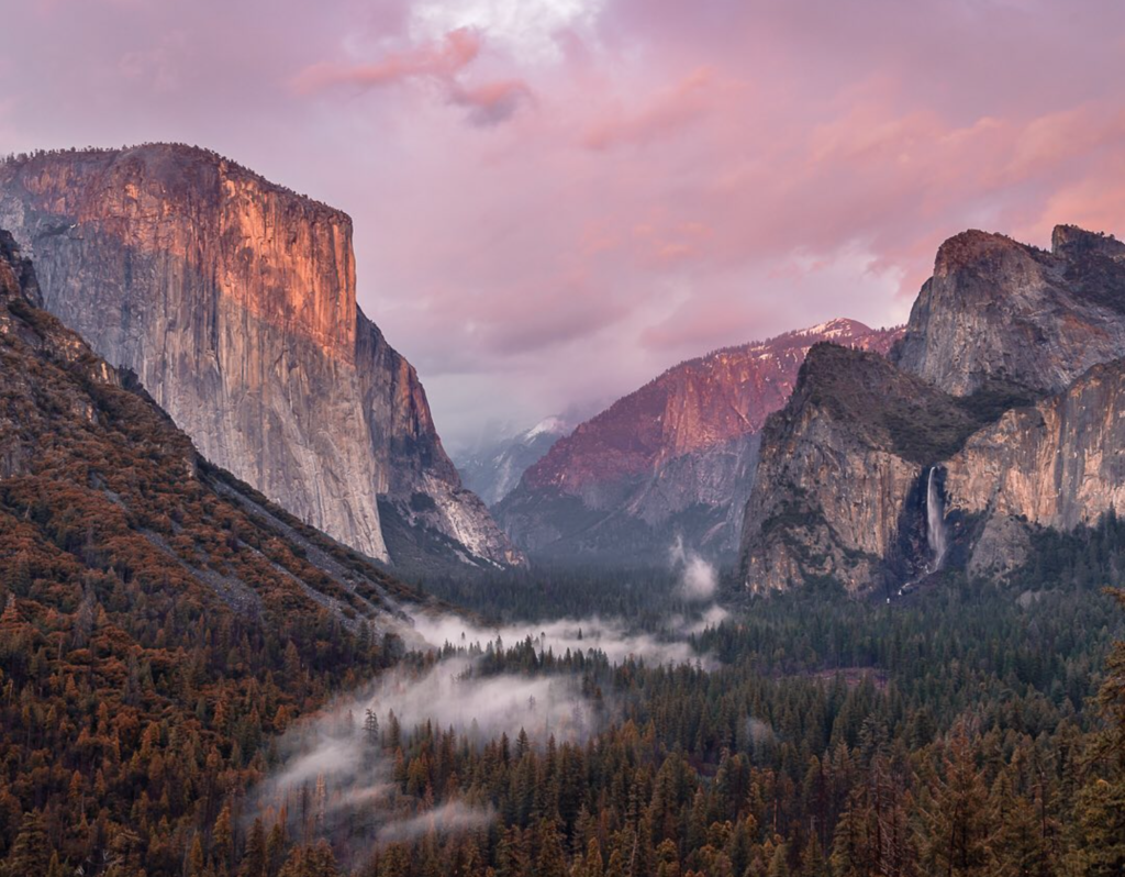 scenic landscape in the park at sunset