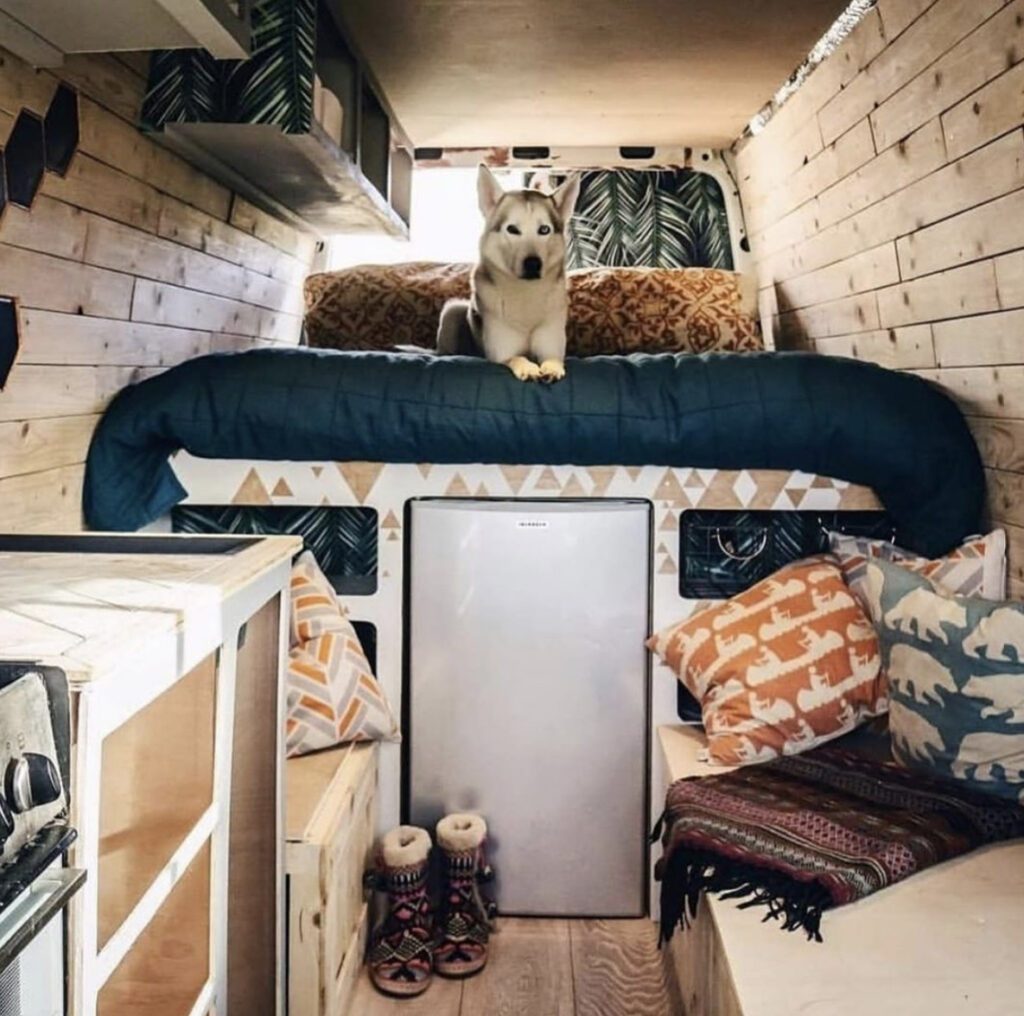 Camper van mattress - van interior with fixed bed and husky on it