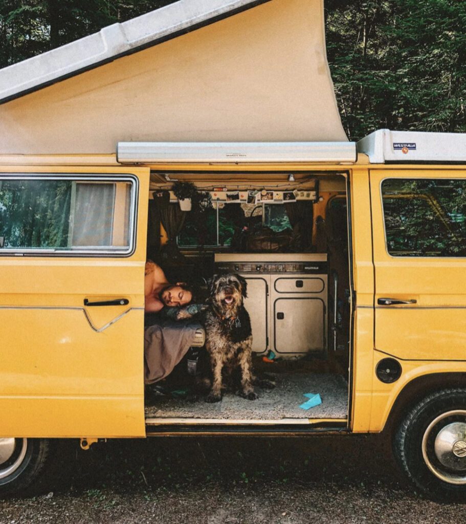 Camping with dogs - man and his dog in yellow pop up westfalia