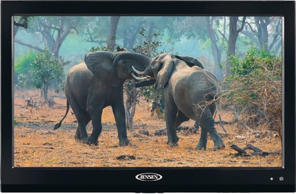 Best 12V TV for RV - Jensen